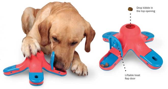 mind toys for dogs